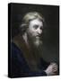 Portrait of a Bearded Man, 19th Century-Richard James Lane-Stretched Canvas