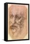 Portrait of a Bearded Man-Michelangelo Buonarroti-Framed Stretched Canvas