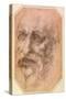 Portrait of a Bearded Man-Michelangelo Buonarroti-Stretched Canvas