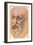 Portrait of a Bearded Man-Michelangelo Buonarroti-Framed Giclee Print