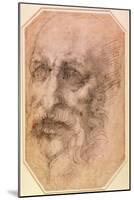 Portrait of a Bearded Man-Michelangelo Buonarroti-Mounted Giclee Print