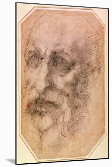 Portrait of a Bearded Man-Michelangelo Buonarroti-Mounted Giclee Print