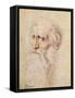 Portrait of a Bearded Old Man-Albrecht Dürer-Framed Stretched Canvas