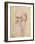 Portrait of a Bearded Old Man-Albrecht Dürer-Framed Giclee Print