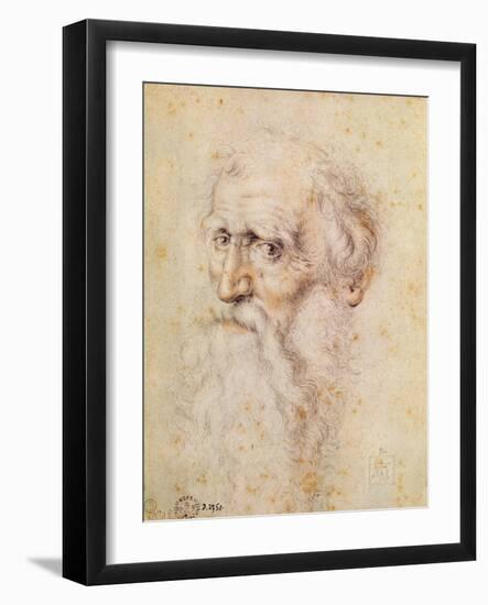 Portrait of a Bearded Old Man-Albrecht Dürer-Framed Giclee Print