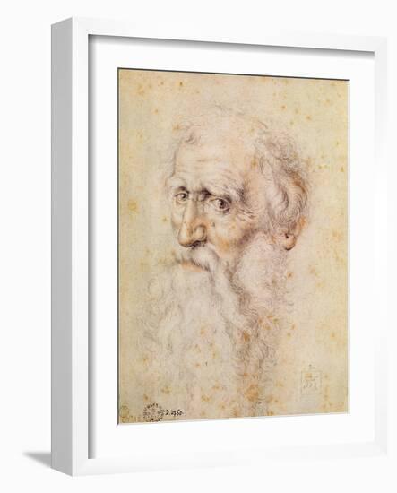 Portrait of a Bearded Old Man-Albrecht Dürer-Framed Giclee Print