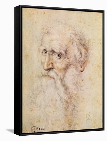 Portrait of a Bearded Old Man-Albrecht Dürer-Framed Stretched Canvas