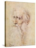 Portrait of a Bearded Old Man-Albrecht Dürer-Stretched Canvas