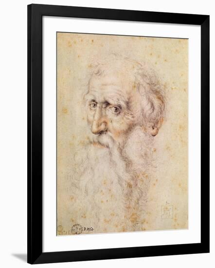 Portrait of a Bearded Old Man-Albrecht Dürer-Framed Giclee Print