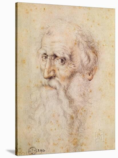 Portrait of a Bearded Old Man-Albrecht Dürer-Stretched Canvas