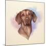 Portrait of A Beautiful Brown Dog.-TanyaZima-Mounted Art Print