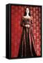 Portrait of a Beautiful Woman in Medieval Era Dress. Shot in a Studio.-prometeus-Framed Stretched Canvas