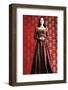 Portrait of a Beautiful Woman in Medieval Era Dress. Shot in a Studio.-prometeus-Framed Photographic Print