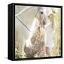 Portrait of a Beauty Blondie with Horse-conrado-Framed Stretched Canvas