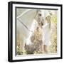 Portrait of a Beauty Blondie with Horse-conrado-Framed Photographic Print