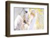 Portrait of a Beauty Blondie with Horse-conrado-Framed Photographic Print