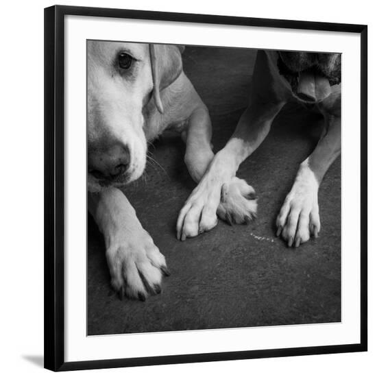 Photographic Print, , large