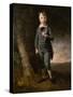 Portrait of a Boy by John Opie-John Opie-Stretched Canvas