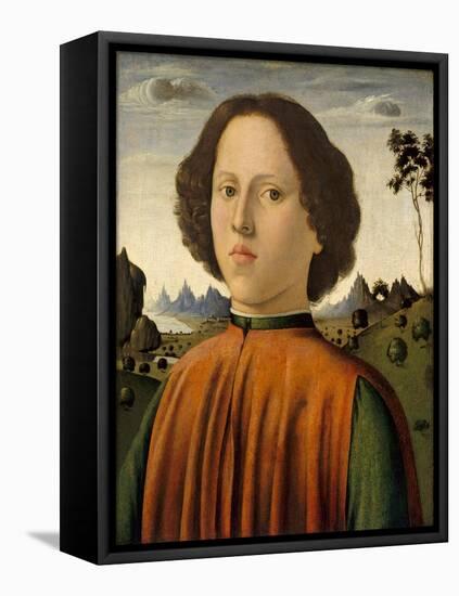 Portrait of a Boy, C.1476-1480-Biagio D'Antonio-Framed Stretched Canvas