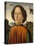 Portrait of a Boy, C.1476-1480-Biagio D'Antonio-Stretched Canvas