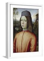 Portrait of a Boy, C. 1480-85-Pinturicchio-Framed Giclee Print