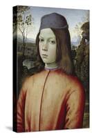 Portrait of a Boy, C. 1480-85-Pinturicchio-Stretched Canvas