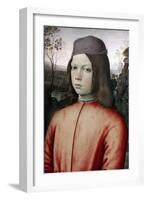 Portrait of a Boy, C1480-1485-Bernardino Pinturicchio-Framed Giclee Print