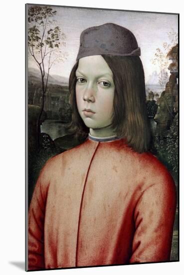 Portrait of a Boy, C1480-1485-Bernardino Pinturicchio-Mounted Giclee Print