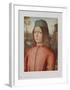 Portrait of a Boy-Pinturicchio-Framed Collectable Print