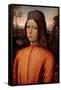 Portrait of a Boy-Bernardino di Betto Pinturicchio-Framed Stretched Canvas