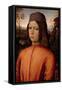 Portrait of a Boy-Bernardino di Betto Pinturicchio-Framed Stretched Canvas