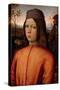 Portrait of a Boy-Bernardino di Betto Pinturicchio-Stretched Canvas