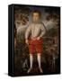 Portrait of a Boy-Robert Peake-Framed Stretched Canvas