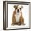 Portrait of a Bulldog Puppy Sitting, 11 Weeks-Mark Taylor-Framed Photographic Print