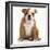 Portrait of a Bulldog Puppy Sitting, 11 Weeks-Mark Taylor-Framed Photographic Print