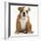 Portrait of a Bulldog Puppy Sitting, 11 Weeks-Mark Taylor-Framed Photographic Print