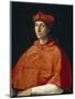 Portrait of a Cardinal, C. 1510-Raphael-Mounted Giclee Print