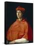 Portrait of a Cardinal, C. 1510-Raphael-Framed Stretched Canvas