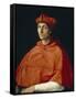 Portrait of a Cardinal, C. 1510-Raphael-Framed Stretched Canvas