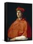 Portrait of a Cardinal, C. 1510-Raphael-Framed Stretched Canvas