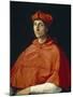 Portrait of a Cardinal, C. 1510-Raphael-Mounted Giclee Print