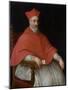 Portrait of a Cardinal Giovanni Dolfin (1545-162)-Leandro Bassano-Mounted Giclee Print