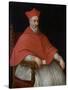 Portrait of a Cardinal Giovanni Dolfin (1545-162)-Leandro Bassano-Stretched Canvas