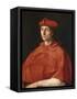 Portrait of a Cardinal-Raphael-Framed Stretched Canvas