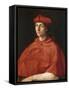 Portrait of a Cardinal-Raphael-Framed Stretched Canvas