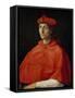 Portrait of a Cardinal-Raphael-Framed Stretched Canvas