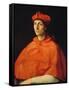 Portrait of a Cardinal-Raphael-Framed Stretched Canvas