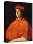 Portrait of a Cardinal-Raphael-Stretched Canvas