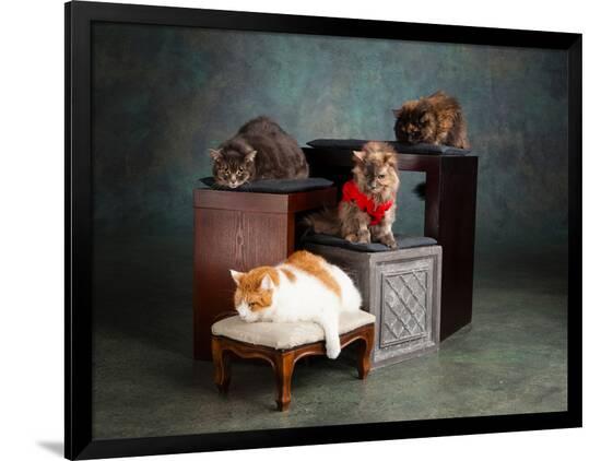 Photographic Print, , large