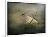 Portrait of a Cedar Waxwing-Jai Johnson-Framed Giclee Print